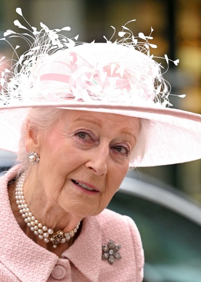 الأميرة الكسندرا تشارك في فعالية لتكريم القطاع الطبي لجهوده خلال الوباء