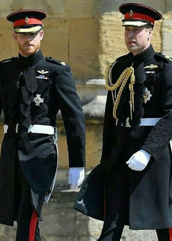 التباعد بين الأميرين وليام وهاري بدأ منذ الدراسة الجامعية