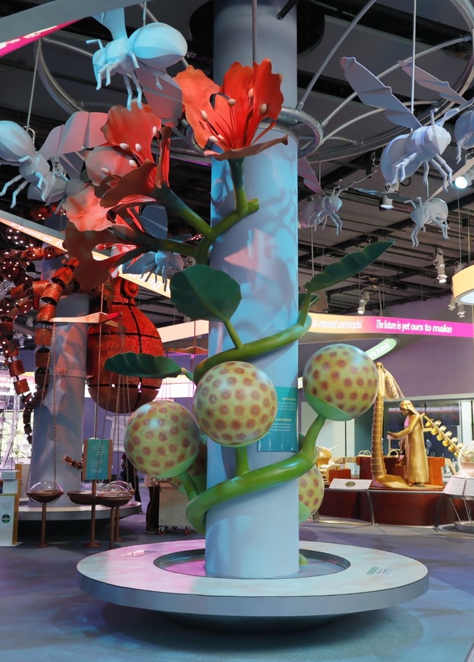 تجربة ساحرة تنتظر الزوار في تيرا - المصدر وكالة أنباء الإمارات 