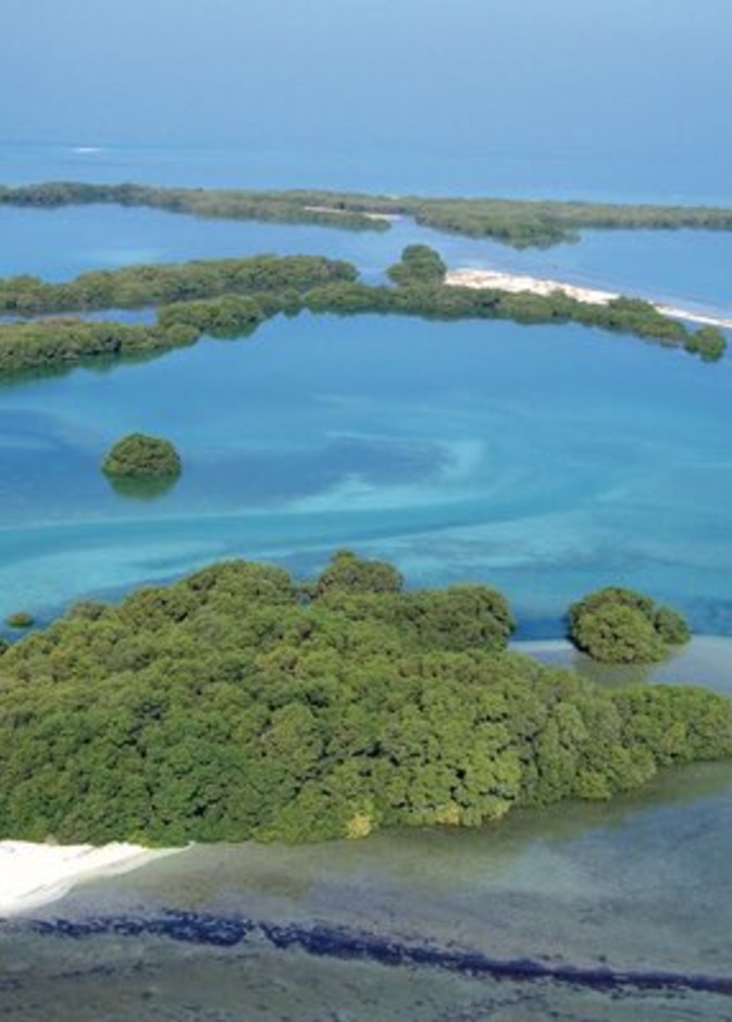 صورة ساحرة لمحمية مروح البحرية - المصدر ALshamsiaaaa.