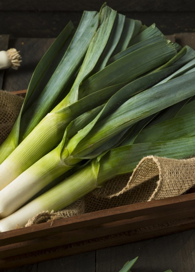 فوائد الكراث الصحية الخارقة