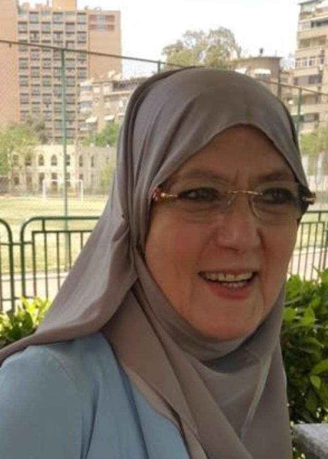 شمس البارودي