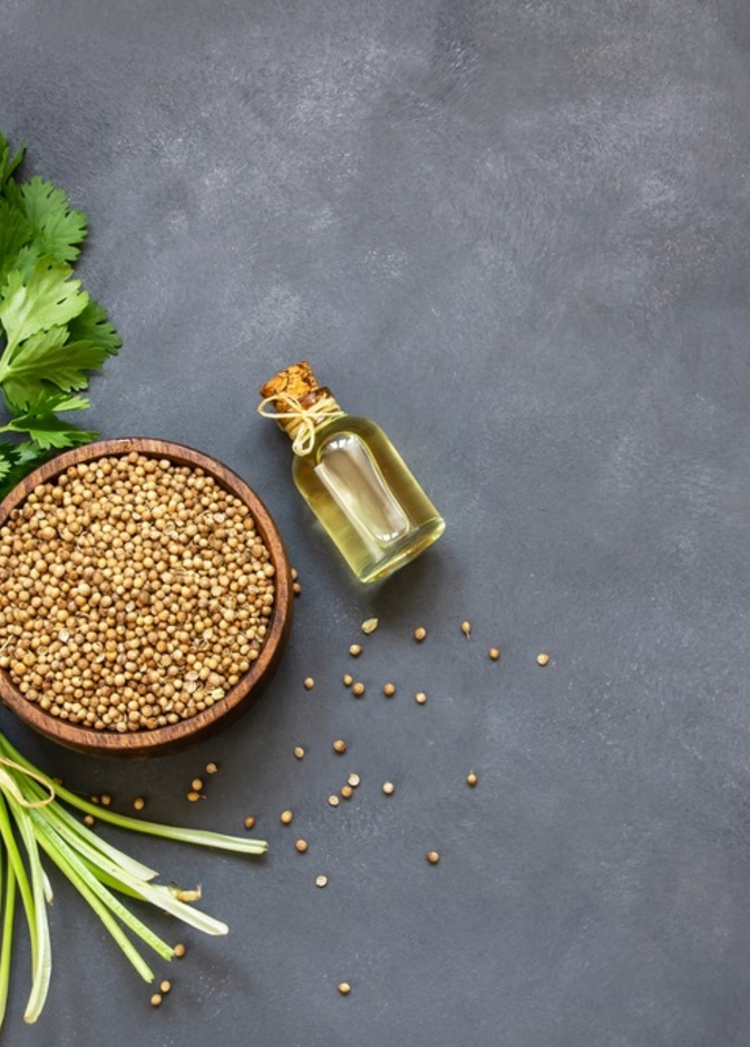 7 فوائد للكزبرة الخضراء للقلب والمعدة والمناعة