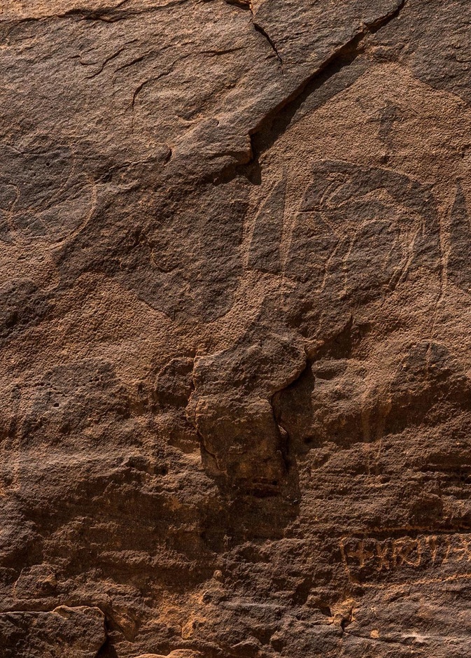 منطقة حمى الأثرية.. أكبر مجمعات الفن الصخري في العالم ووجهة تاريخية لا مثيل لها