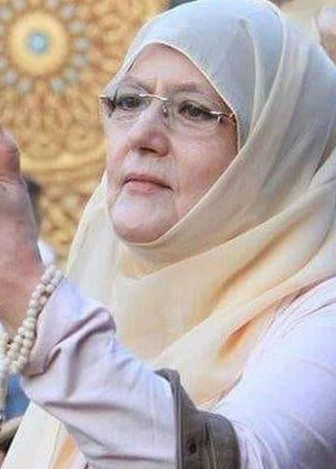شمس البارودي