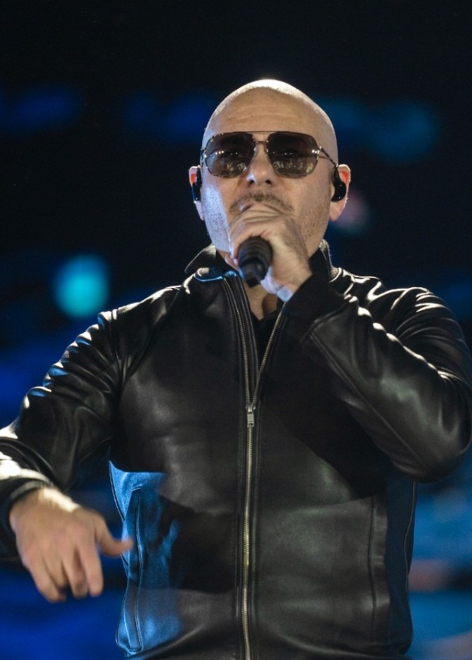 Pitbull