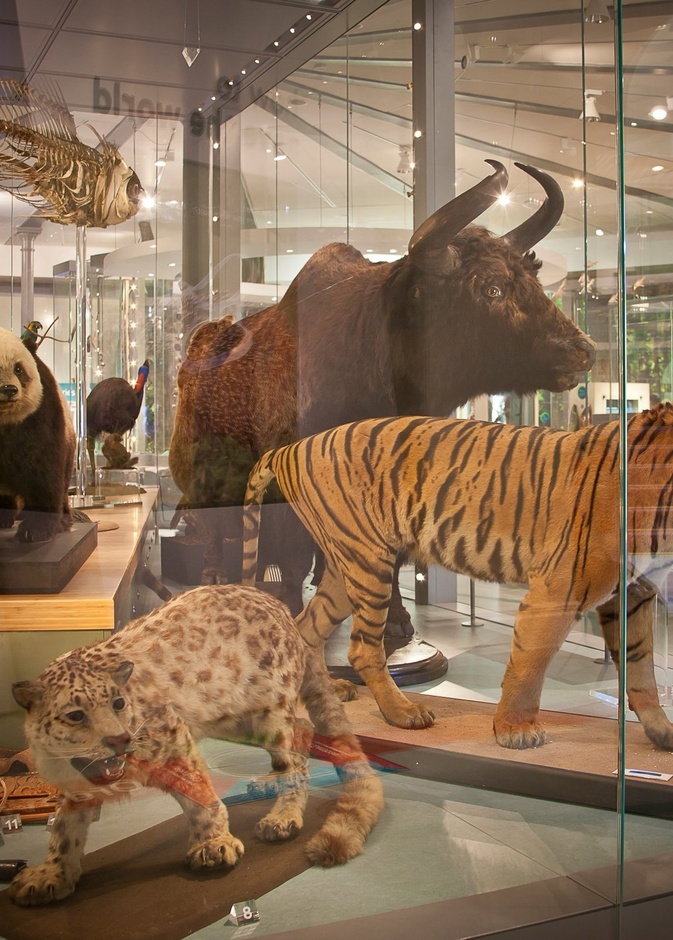 متحف مدينة ليدز Leeds City Museum