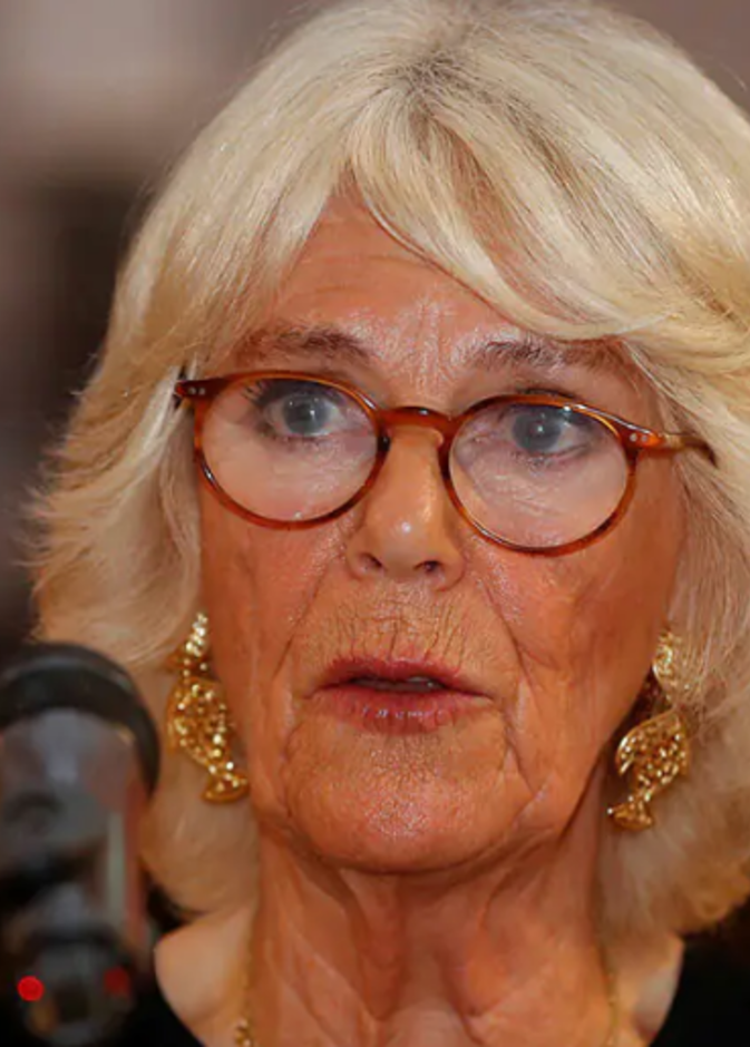 دوقة كورنوال تطالب بأنهاء العنف ضد النساء في كلمة قوية