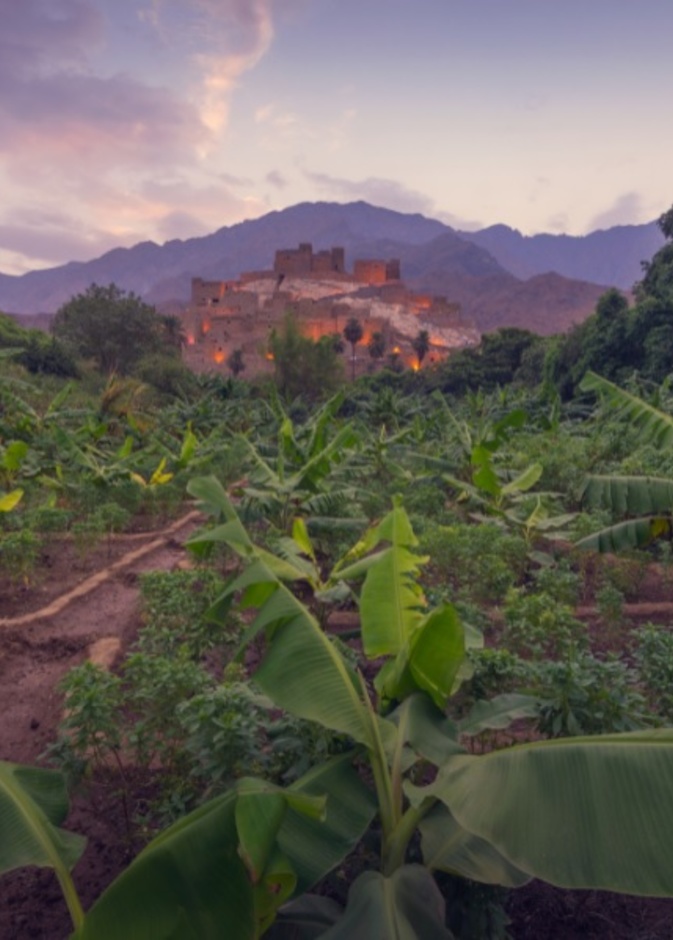 أرض الباحة غنية بالخيرات، ومحاطة بأجمل التضاريس - المصدر روح السعودية