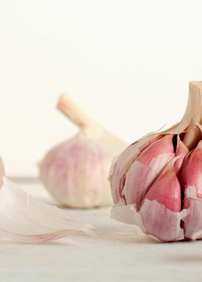 فوائد تناول الثوم في فصل الشتاء