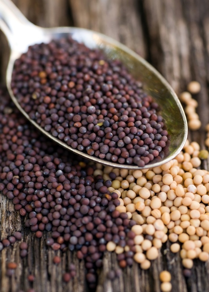 فوائد الخردل لمرضى ارتفاع الكوليسترول