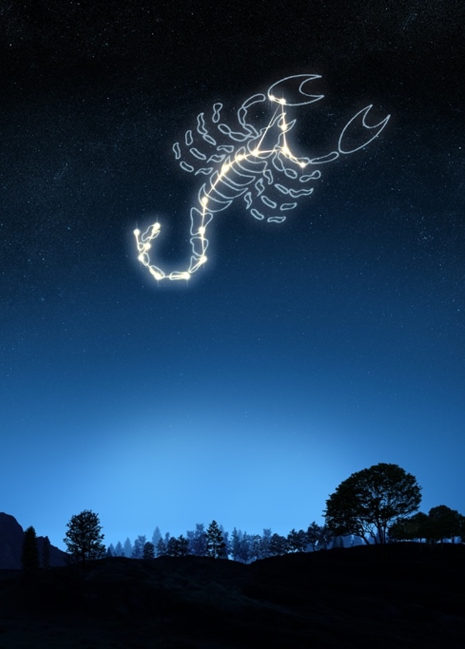 هل يعتبر برج العقرب من الأبراج الشريرة