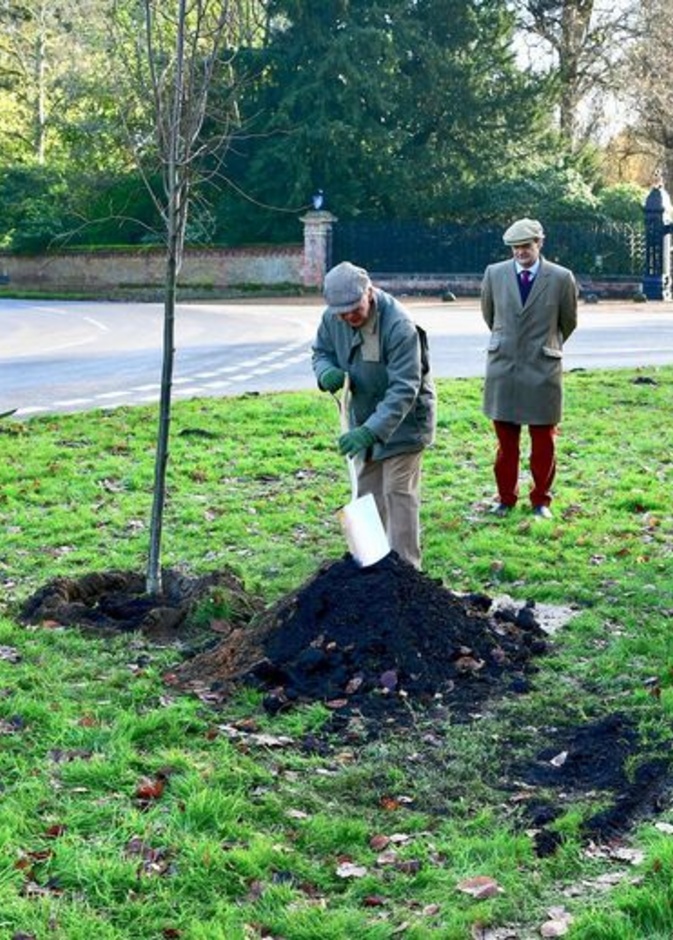 أشجار جديدة تزرع في منزل الملكة في ساندرينجهام تكريما لزوج الملكة الراحل