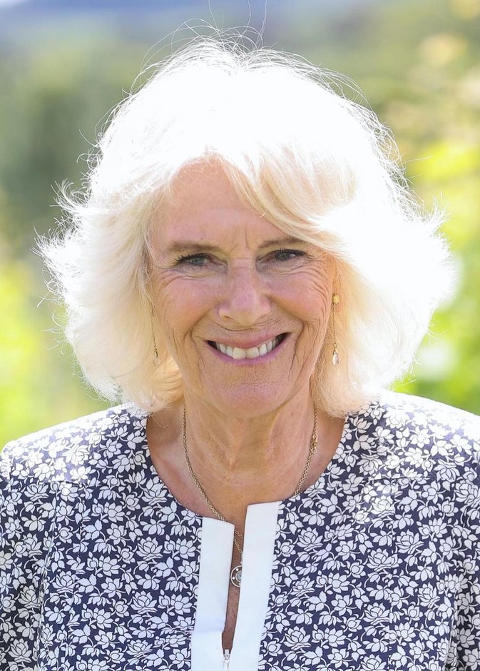 ماذا قالت كاميلا باركر في مقالها عن العنف المنزلي؟