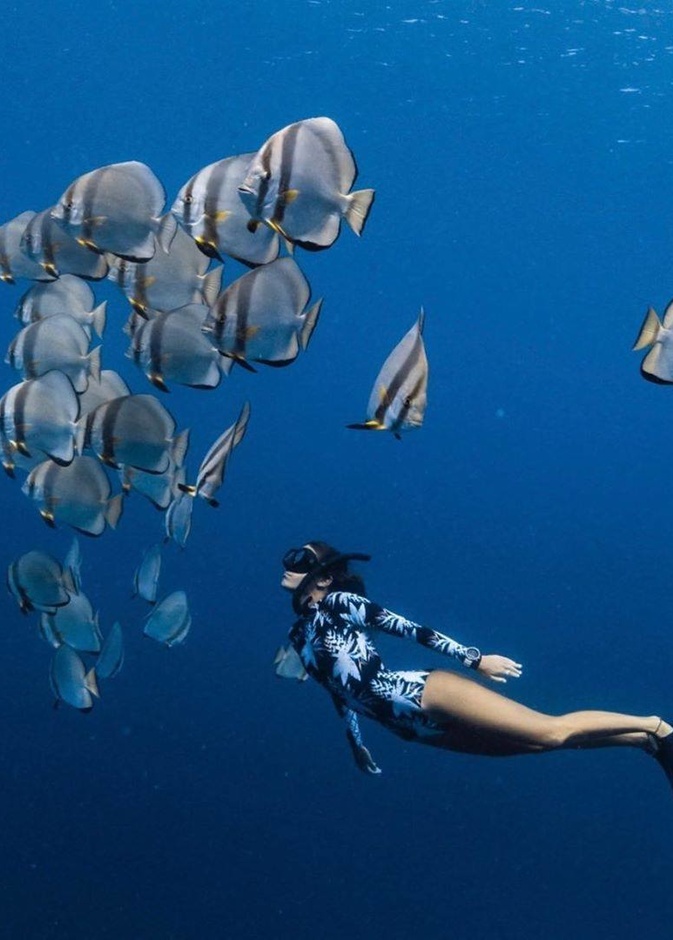 فري دايفينج.. تجربة تحبس الأنفاس لعشاق الغوص في أبوظبي  