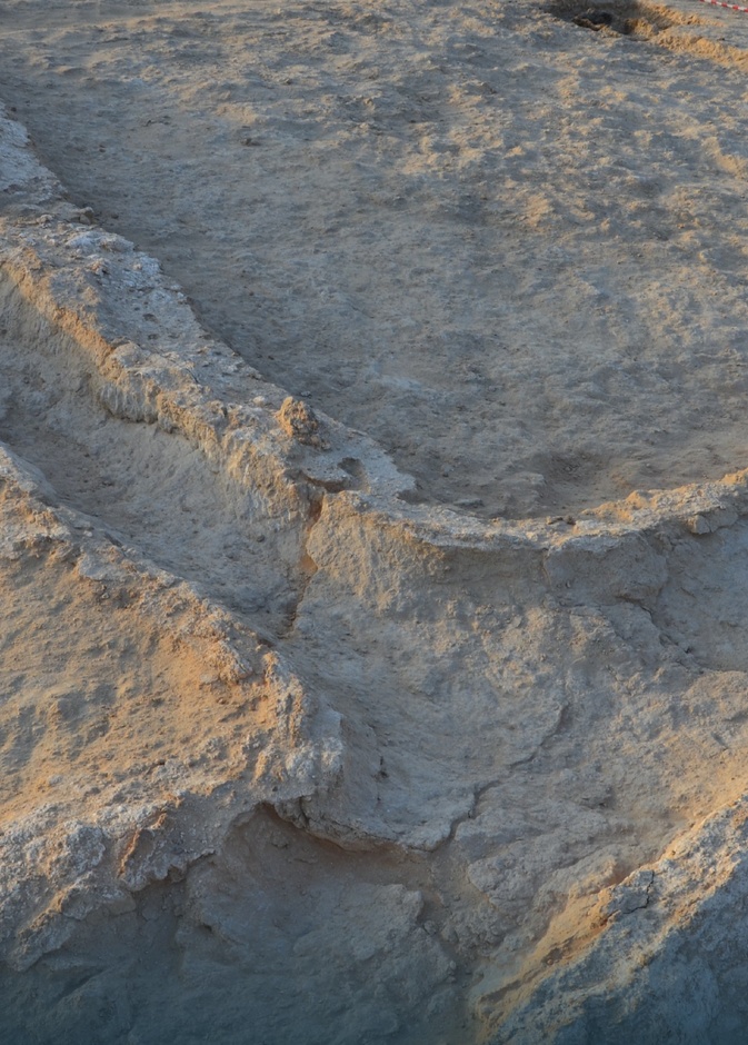 هيئة التراث تكشف النتائج المبدئية للتنقيبات الأثرية في "قصيرات عاد"