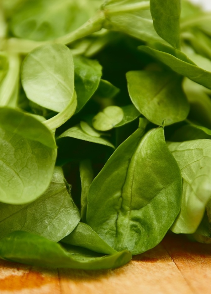 فوائد تناول السبانخ في الشتاء