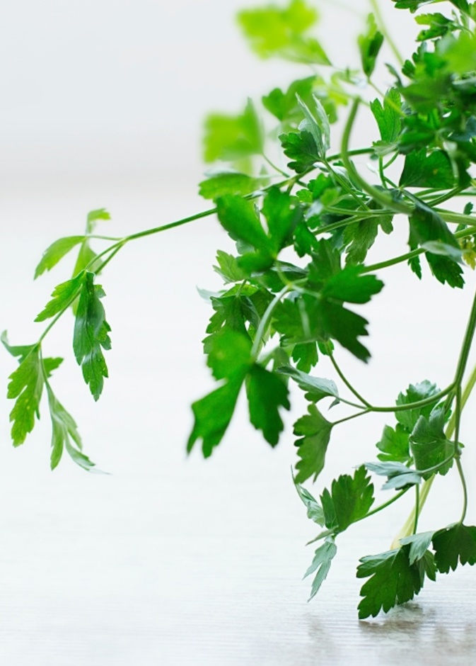 فوائد البقدونس والكرفس لحرق الدهون