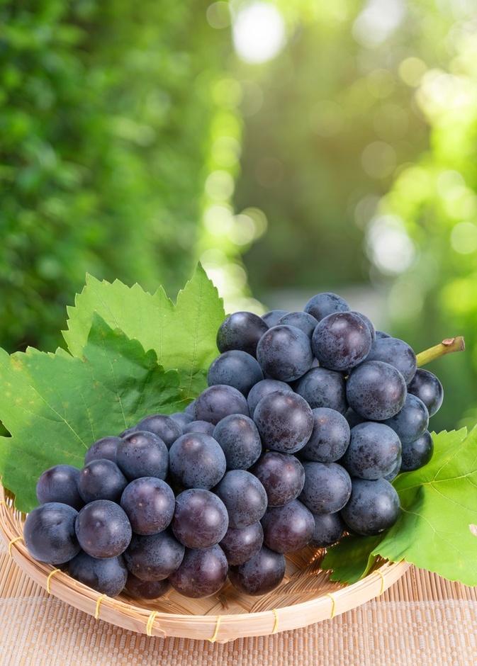 أفضل فاكهة لصحة الأمعاء ما هي