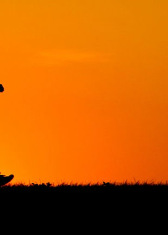 المشي في الهواء الطلق في مدينة الرياض في شتاء