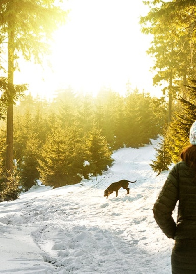 تعرف على طرق للاستمتاع بالسفر في فصل الشتاء بواسطة rawpixel