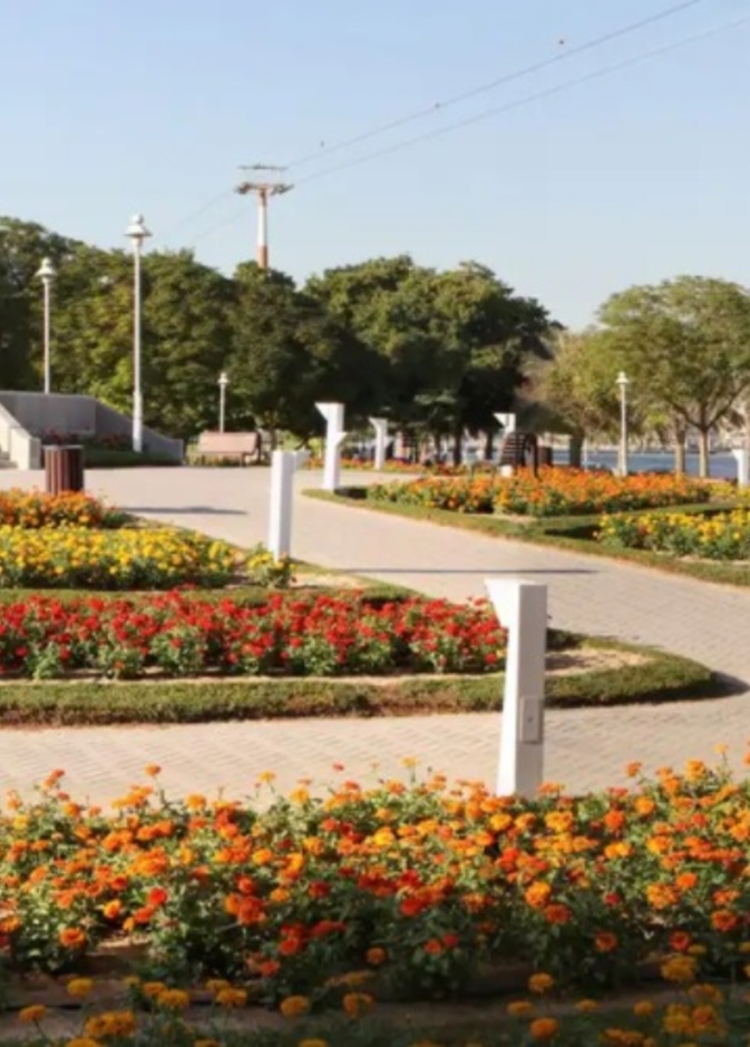 حديقة الخور الساحرة - المصدر زوروا دبي