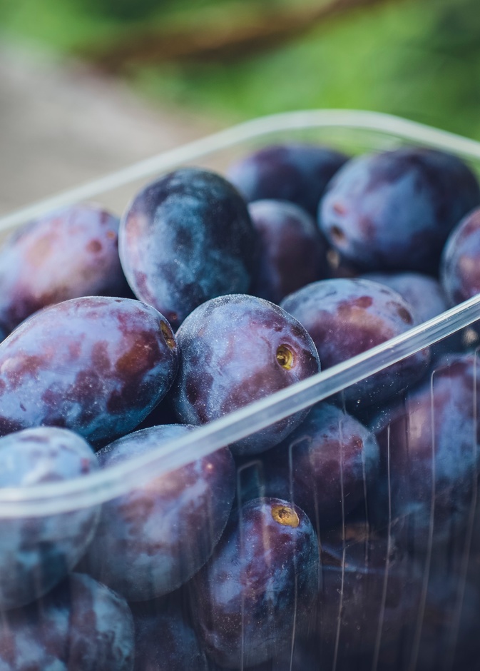 فوائد القراصيا لمرضى السكري