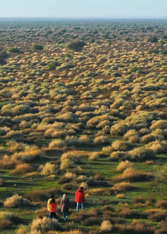 روضة التنهات.. نزهة ساحرة في أحضان الطبيعة الخلابة بالمملكة - المصدر روح السعودية