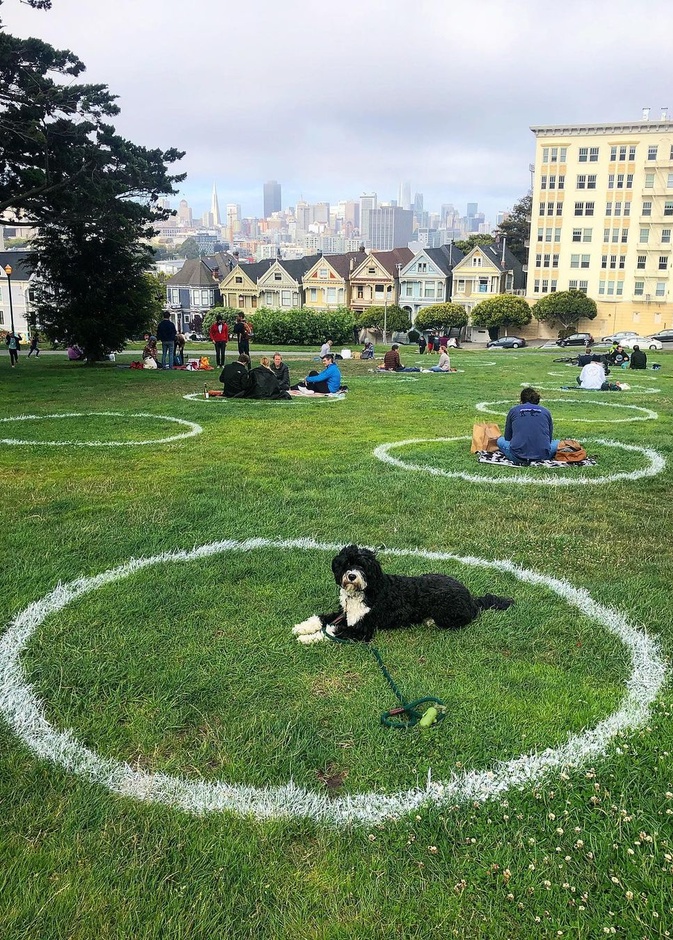 ساحة ألامو Alamo Square