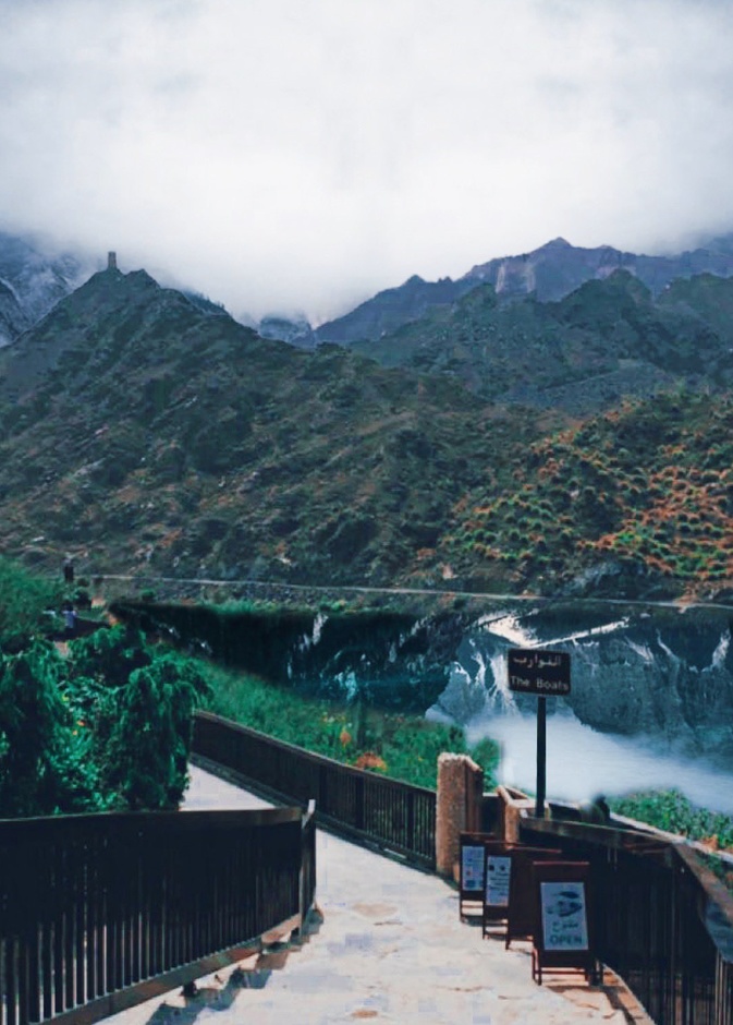 طبيعة لا تقاوم في محيط سد الرفيصة - المصدر @sumaya94a