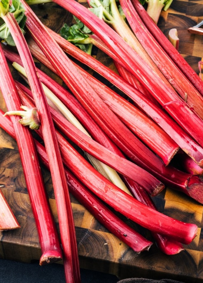 فوائد عشبة الراوند للامساك