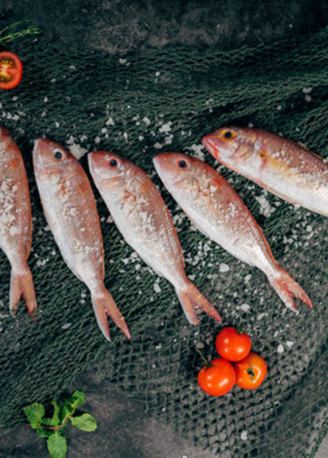 ماهي فوائد تناول الأسماك في الشتاء