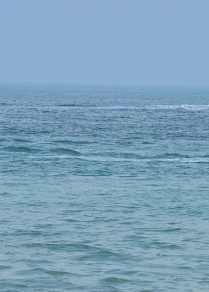 العديد من الأنشطة بإنتظار الزوار في شاطئ الفناتير - المصدر الهيئة الملكية بالجبيل