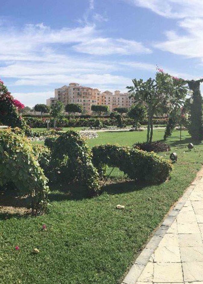 وتجربة ساحرة لعشاق الاستجمام في حديقة الفنون الخضراء - المصدر مشاريع السعودية