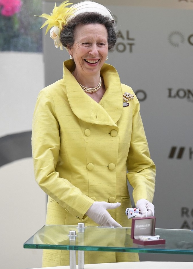 الأميرة الملكية آن تنفذ 368 مشاركة رسمية هذا العام