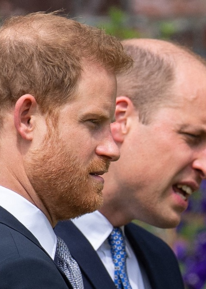 ويليام وهاري يقابلان الفائزون بجائزة الأميرة ديانا