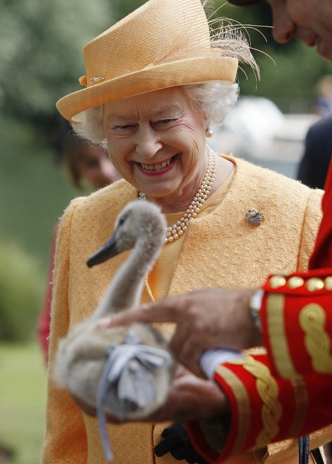 أغرب الوظائف في قصر باكنغهام