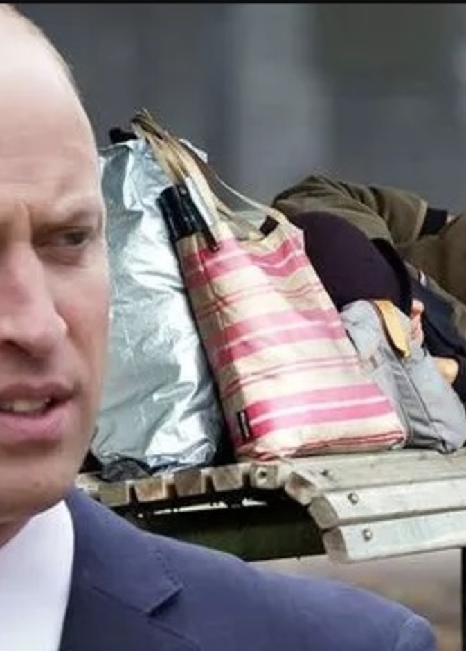 هل يخطط الأمير وليام لتحويل أرض ملكية لملجأ للمشردين