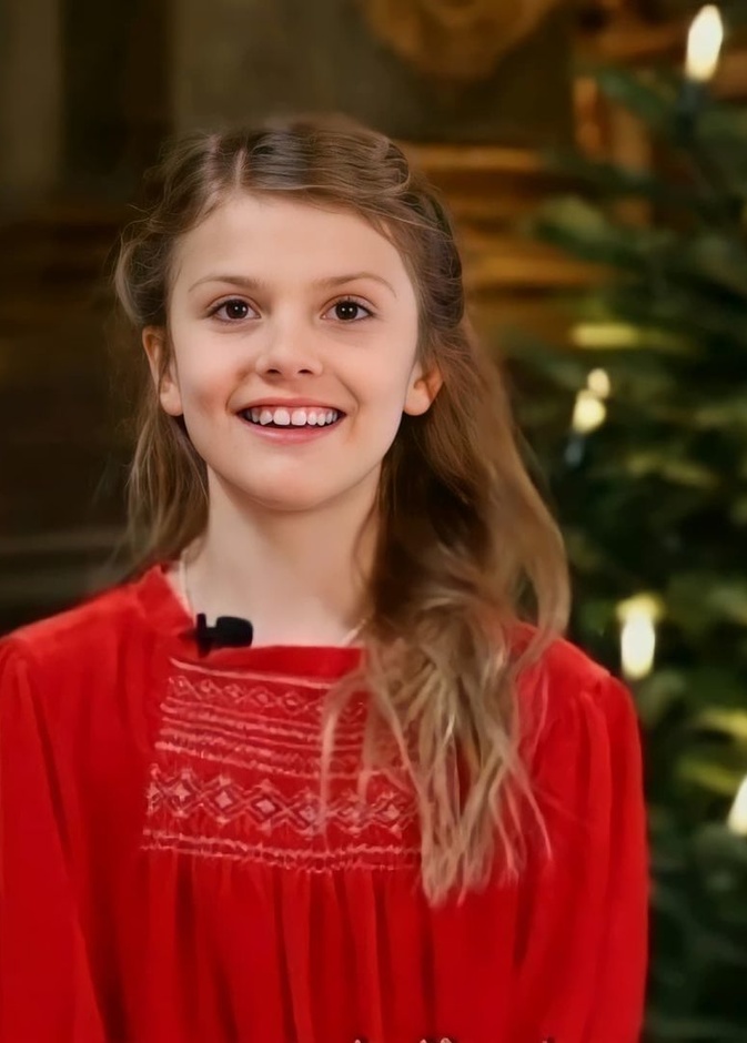 الأميرة استيل توجه رسالة بمناسبة نهاية العام