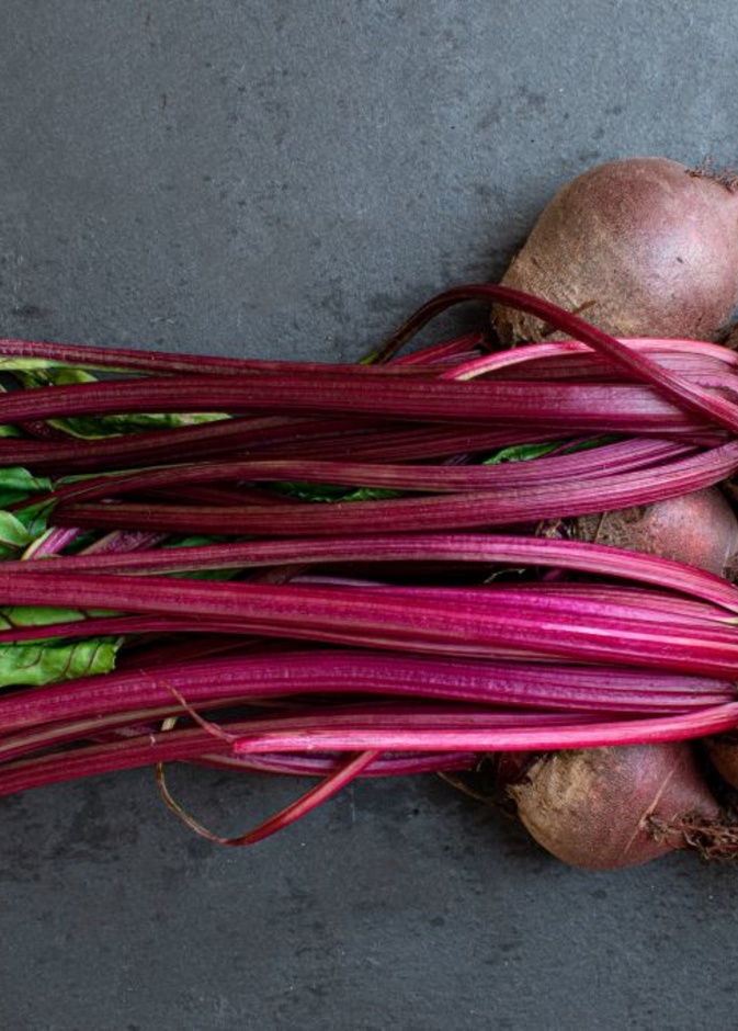 الشمندر وتأثيره على ضغط الدم