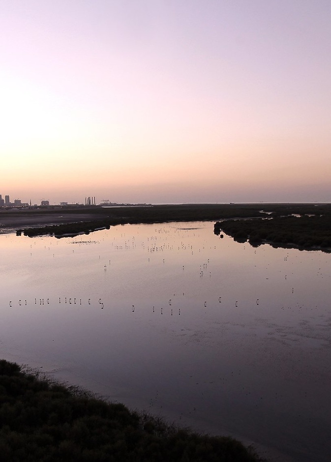 خور عجمان.. عش تجربة لا تنسى في أحضان الطبيعة الخلابة بالإمارات