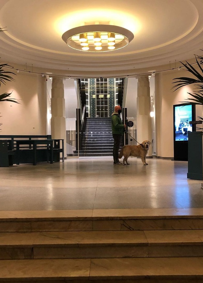 بالصور أفضل فنادق هلسنكي