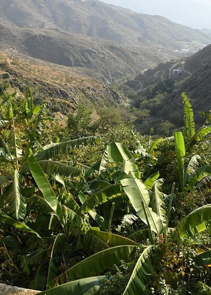 لقطة ساحرة من وادي الغيل - المصدر واس