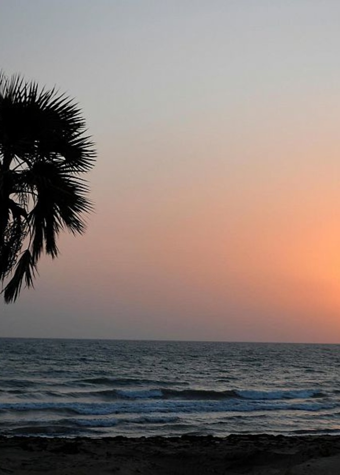 سواحل منطقة عسير.. تجربة ساحرة للتمتع بدفء الطبيعة في أحضان الأمواج