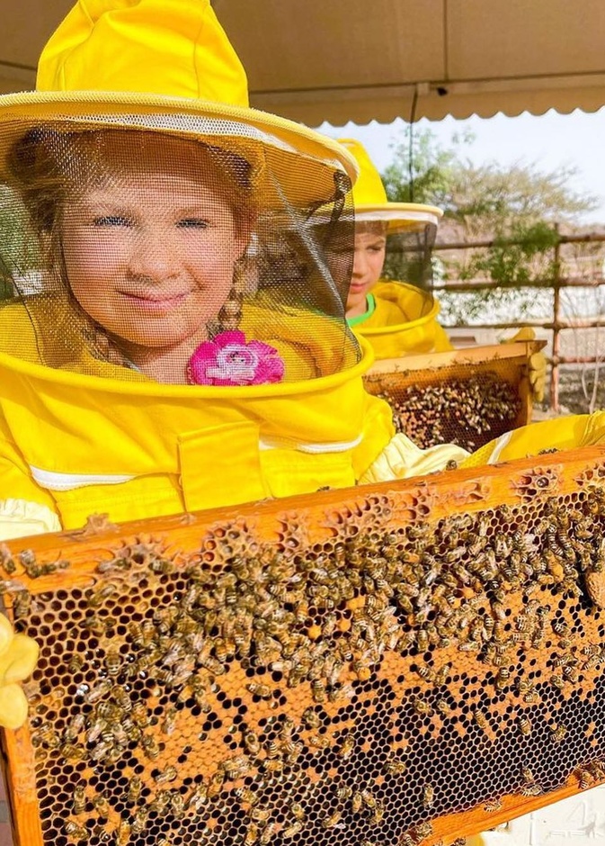 حديقة النحل في حتا.. تجربة مثالية للاستجمام في أحضان الطبيعة الخلابة