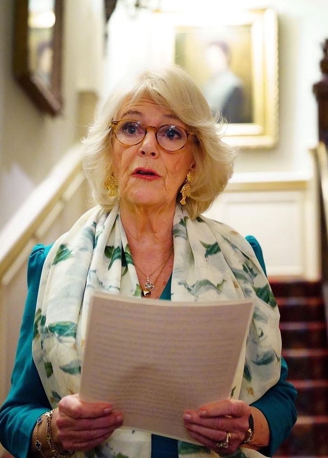 دوقة كورنوال تطالب بإنهاء العنف المنزلي في حفل استقبال خيري