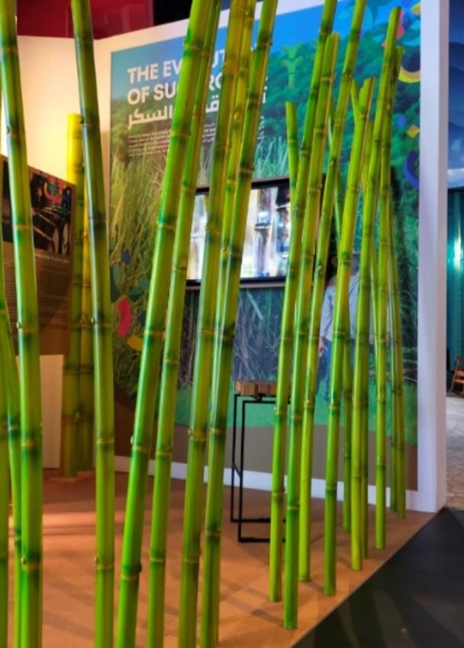 جناح كوبا ينبض بالحياة في إكسبو 2020 دبي.. تجربة رائعة بانتظار الزوار