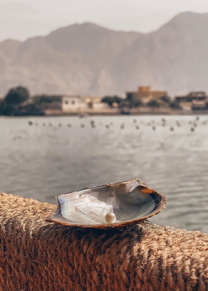 مزرعة لآلئ السويدي.. تجربة ممتعة في أعماق البحر للتعرف على تاريخ اللؤلؤ بالإمارات