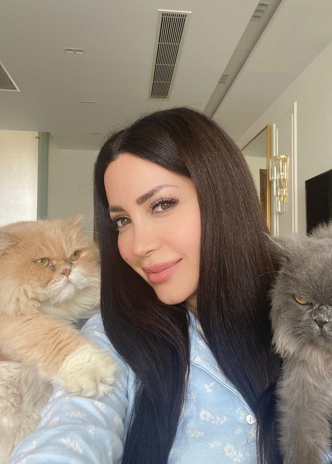 =أشهر النجوم الذين يعشقون تربية القطط