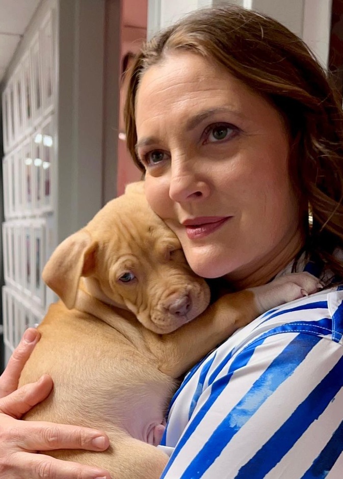 أصدقاء درو باريمور المقربين يرغبون في فشل برنامجها الحواري الجديد بسبب تأثيره السلبي على حياتها الاجتماعية